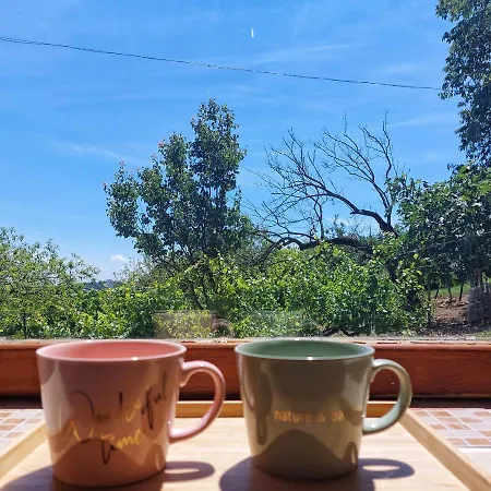 Panorama Wine & Chill Apartment