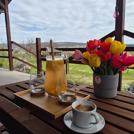 Panorama Wine & Chill Apartmán Hévíz