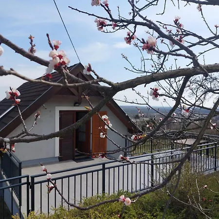 Panorama Wine & Chill Hévíz
